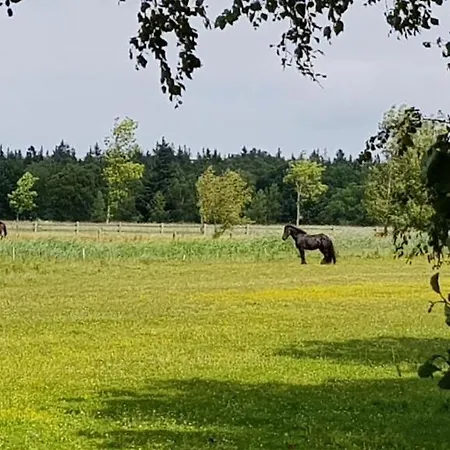 Dorfstr_ Ot Mueggenburg Casa de Férias *